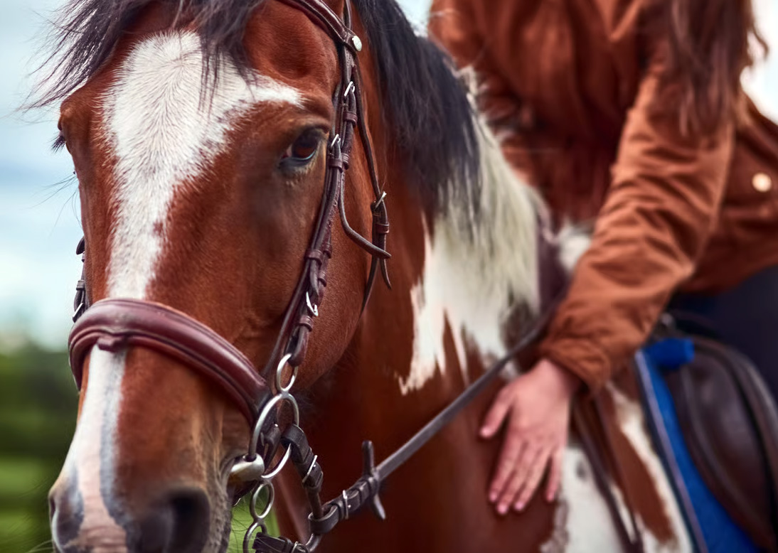 horsemanship2